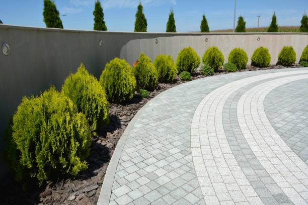 Best Brick Driveway Pavers  in Ukiah, CA